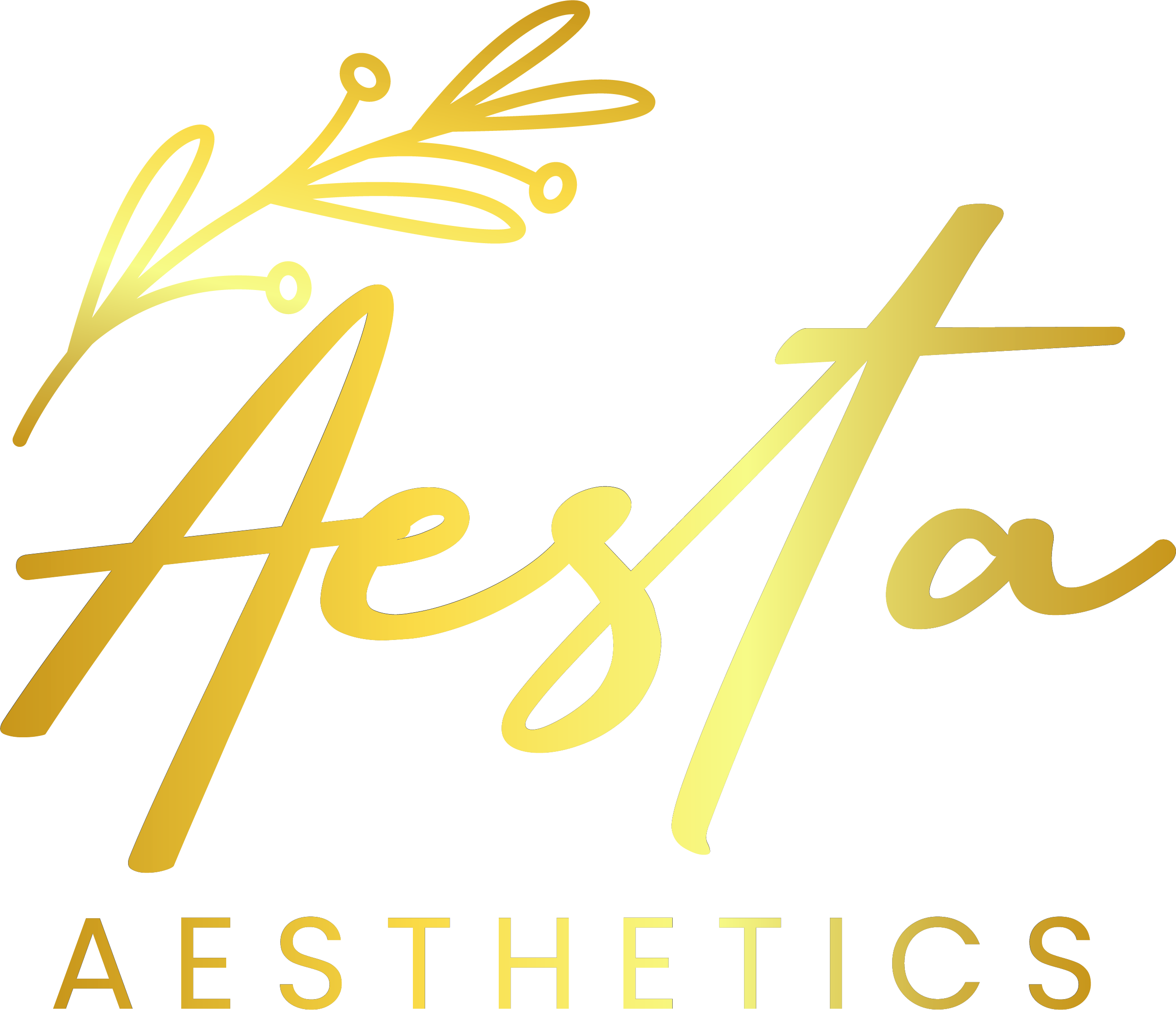 Aesta Aesthetics
